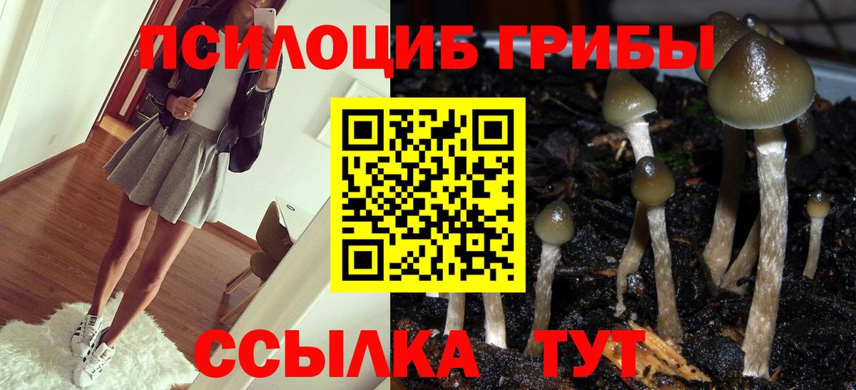 Псилоцибиновые грибы мухоморы  Вход с VPN  Бирск 
