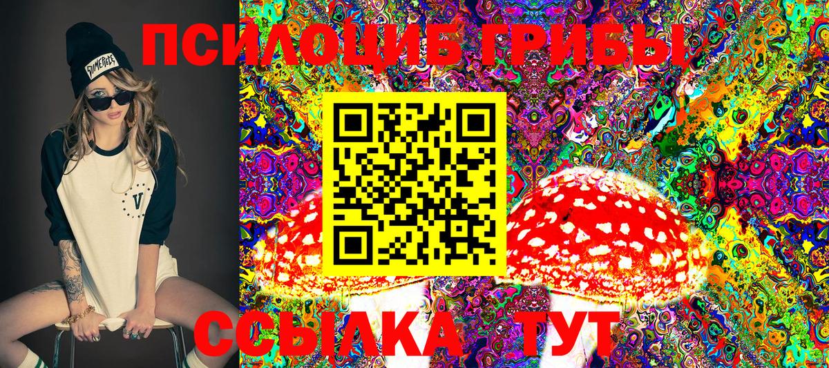 Псилоцибиновые грибы Cubensis Бирск